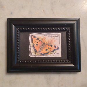 Large Tortoiseshell Butterfly
